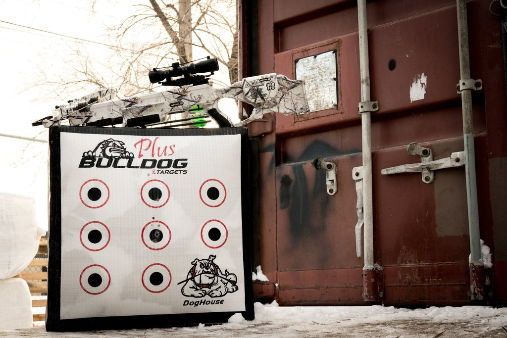 Doghouse XP Archery Target