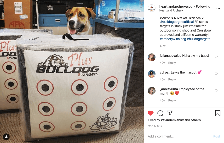 Doghouse XP Archery Target