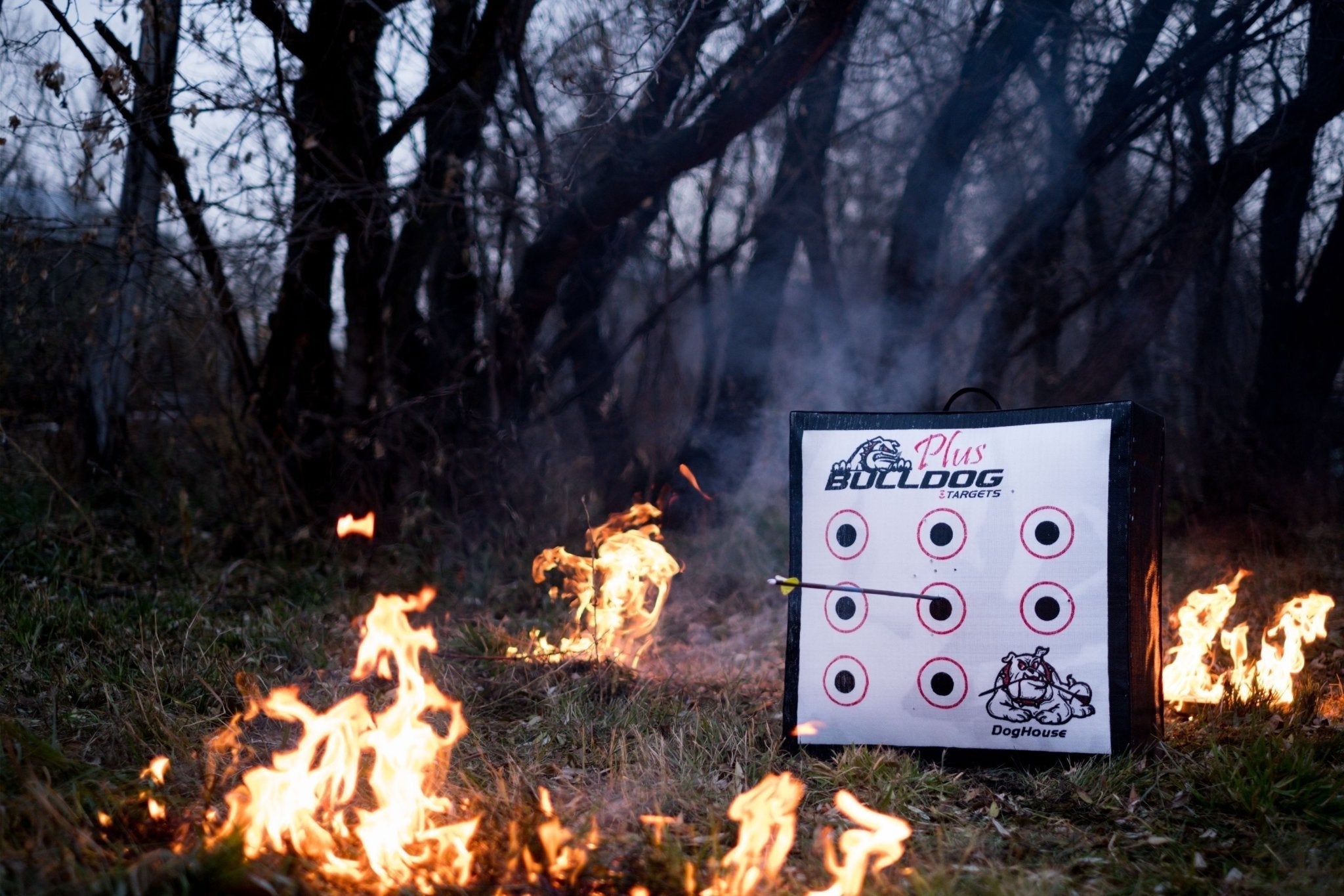 Doghouse XP Archery Target