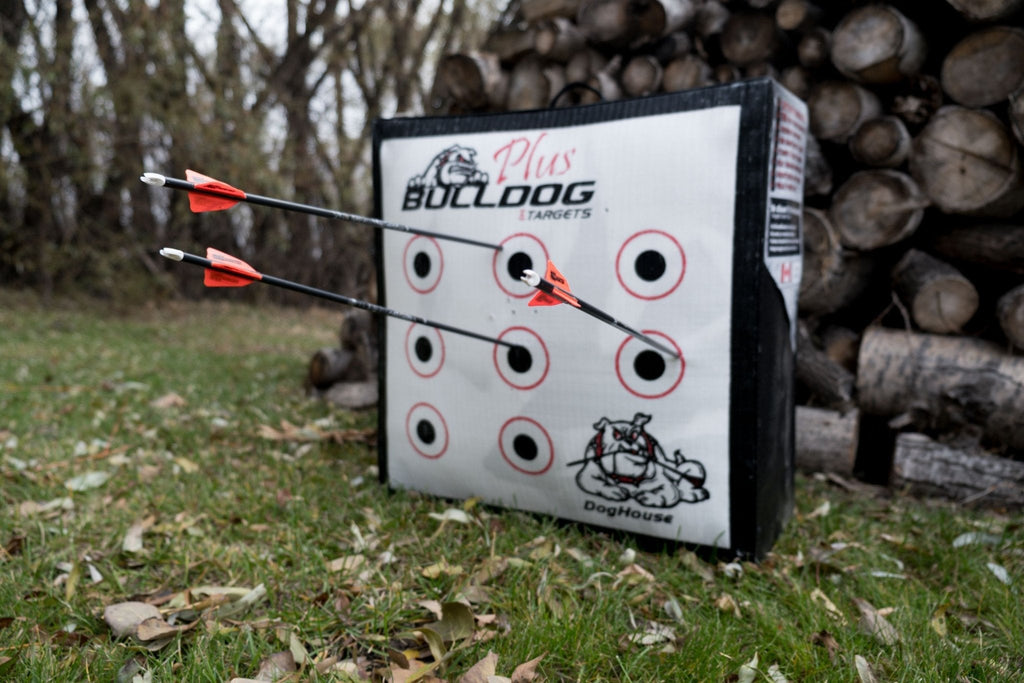 Doghouse XP Archery Target