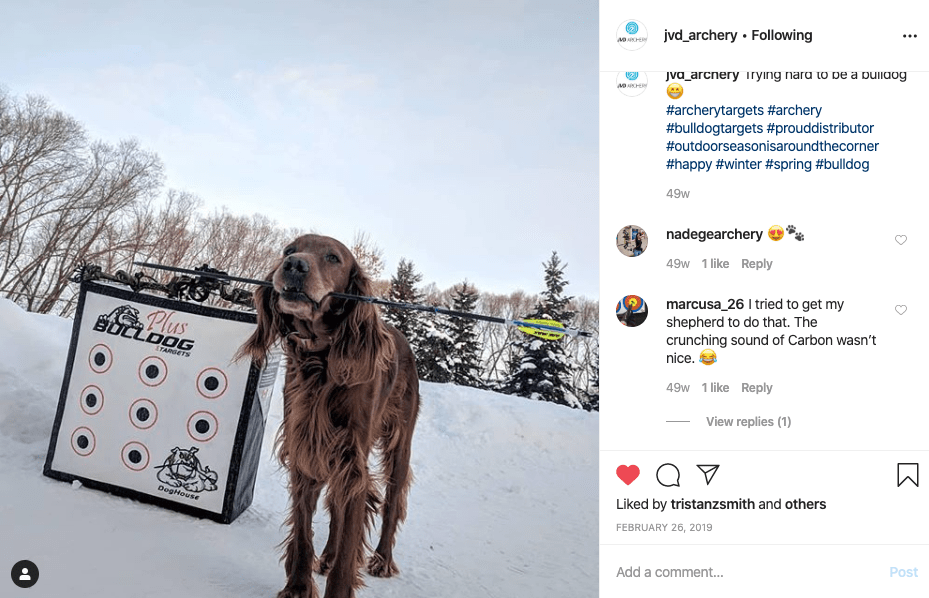 Doghouse XP Archery Target