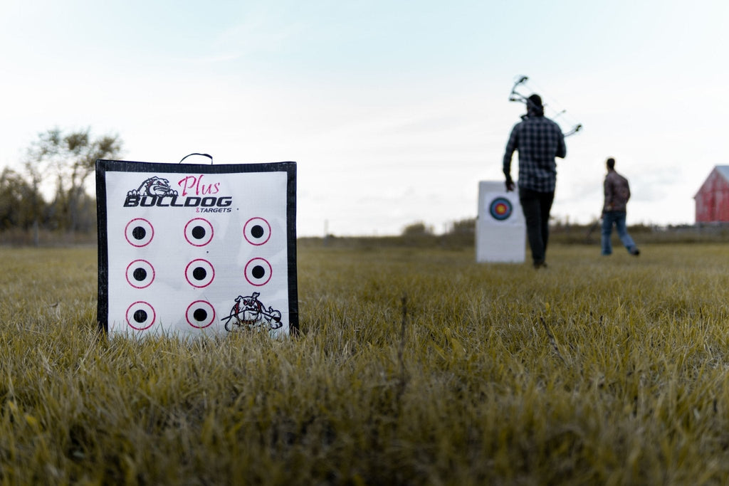 Doghouse XP Archery Target