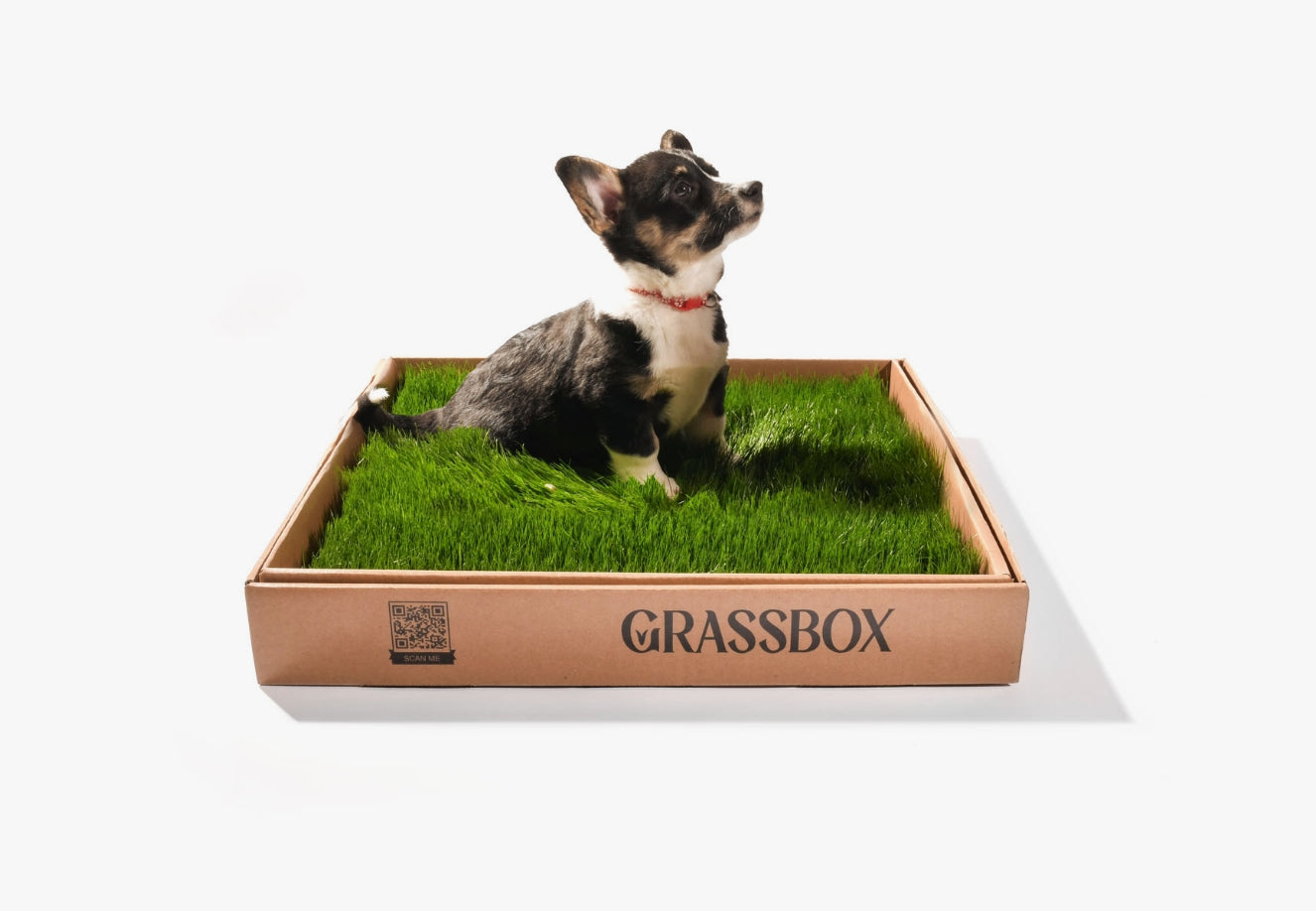 Real GrassBox