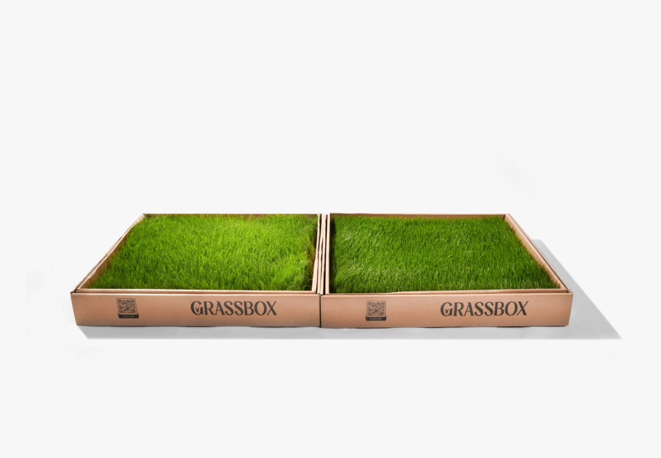 Real GrassBox